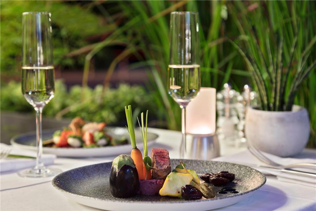 Hotel Melia Dusseldorf